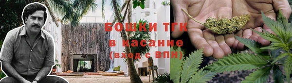 трава Краснослободск